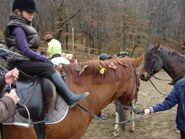 Hubertus 2010